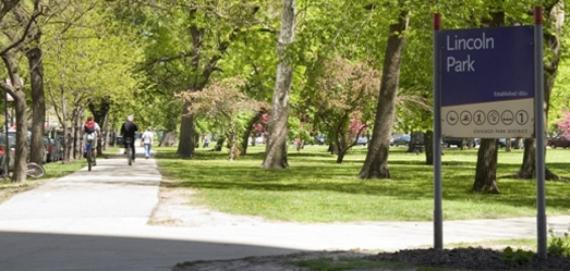 The Park at Lincoln Park