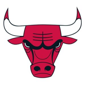 Bulls logo